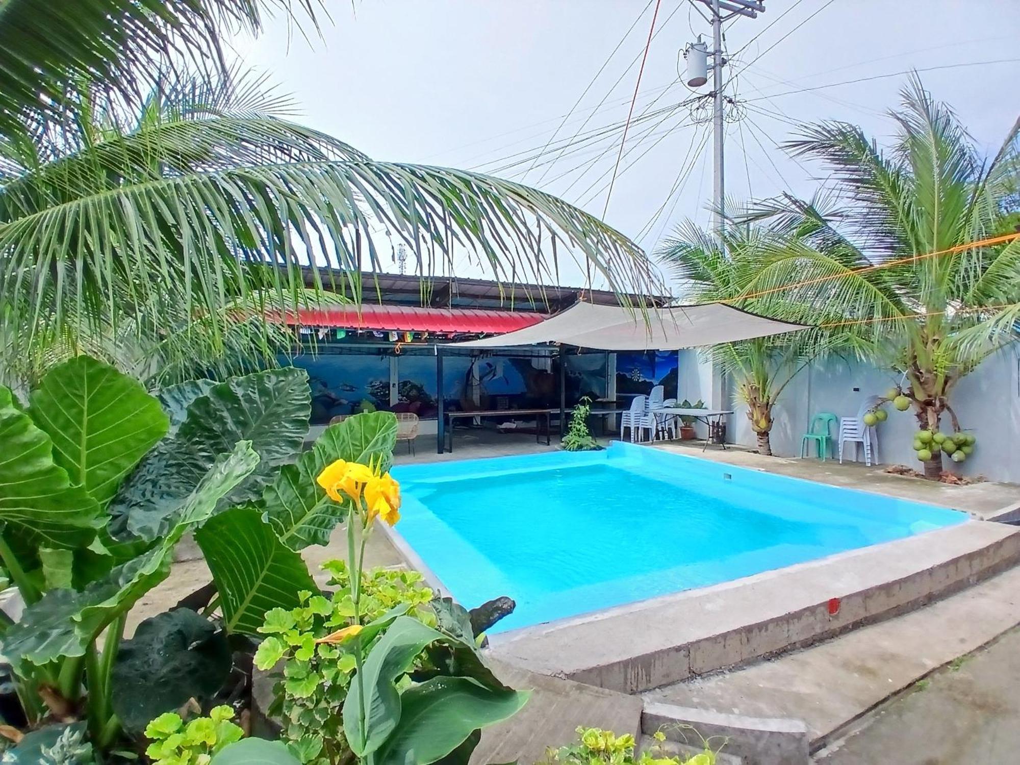 Ananas Guesthouse モアルボアル エクステリア 写真