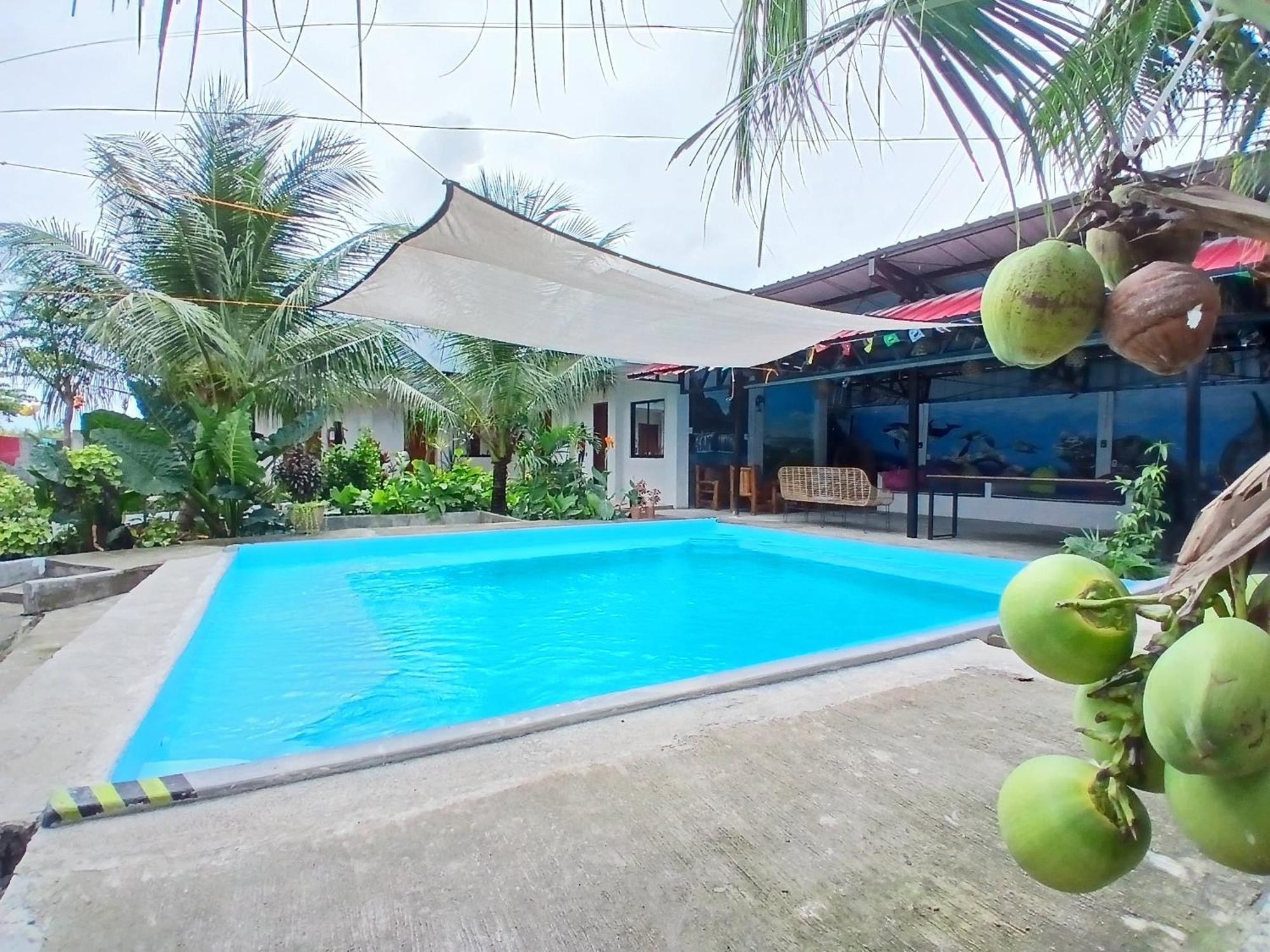 Ananas Guesthouse モアルボアル エクステリア 写真