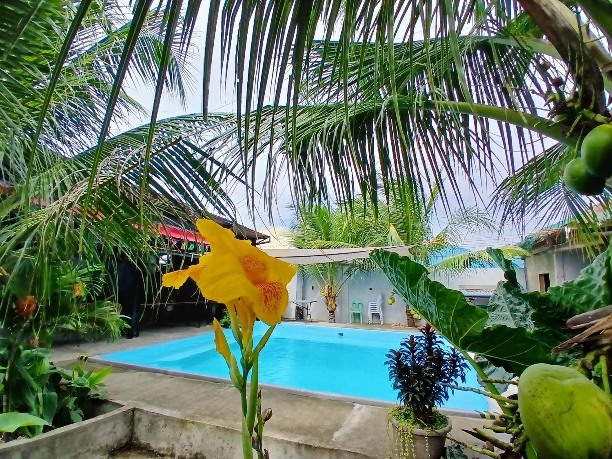 Ananas Guesthouse モアルボアル エクステリア 写真