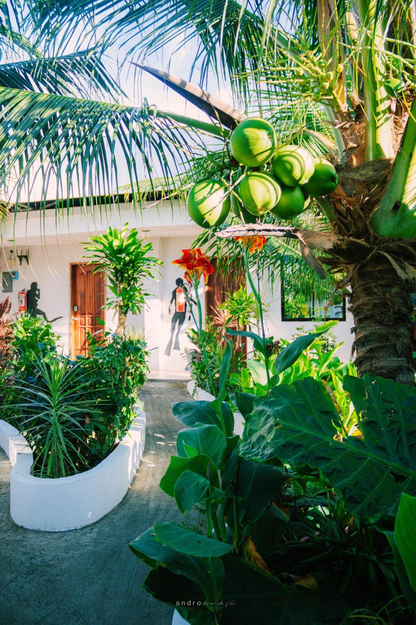 Ananas Guesthouse モアルボアル エクステリア 写真